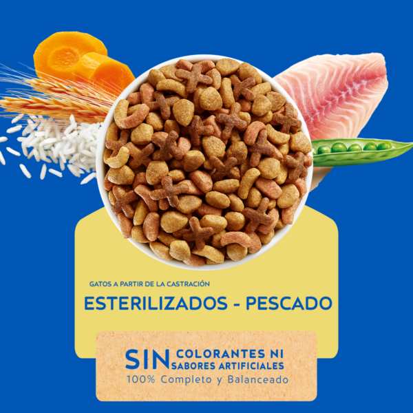 Cat Chow Esterilizado Defense Plus 3 KG - Imagen 3