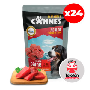 Caja Sachet Cannes Carne 100 GR 24 Unidades