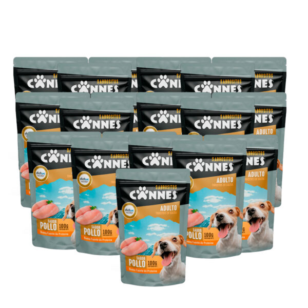 Caja Sachet Cannes sabor Pollo 100 GR 24 Unidades - Imagen 2