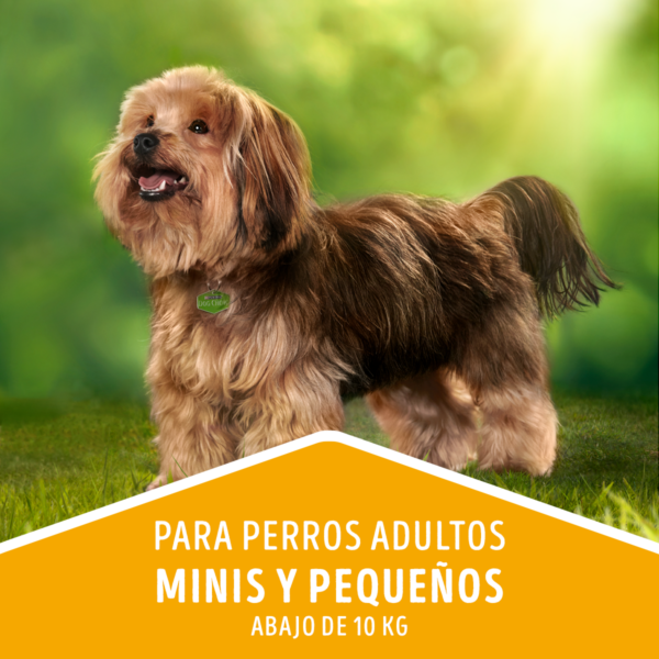 Dog Chow Adulto Razas Pequeñas 24 KG - Imagen 3