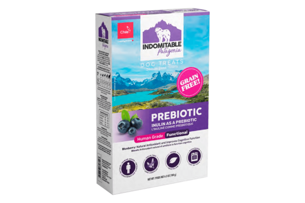 Galleta Snack Indomitable Prebiótico Arándano 180 GR