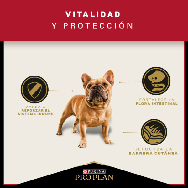 Pro Plan Adulto Razas Pequeñas 3kg - Imagen 3