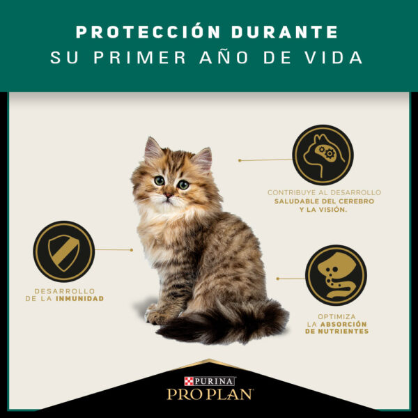 Pro Plan Cat Kitten 3 kg - Imagen 6