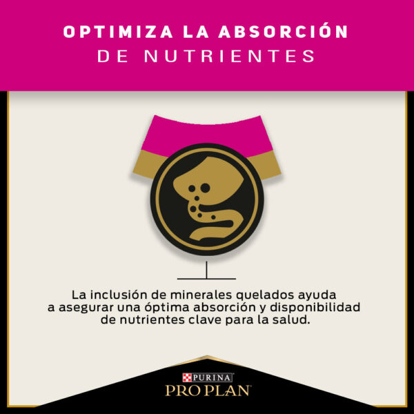 Pro Plan Cat Sterilized 3 kg - Imagen 5