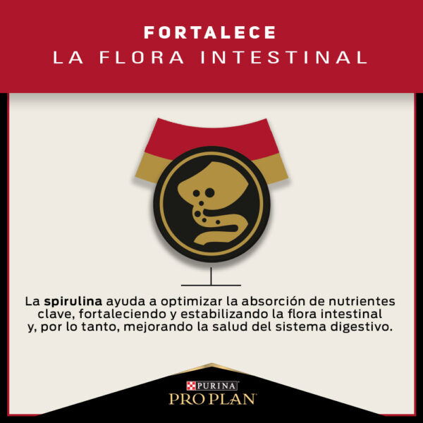 Pro Plan Adulto Razas Pequeñas 3kg - Imagen 7