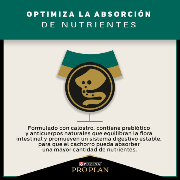 Pro Plan Puppy Razas Medianas 3 KG - Imagen 7