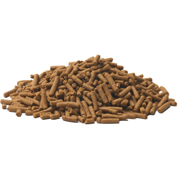 Bil Jac Large Breed Adulto Select 13.6 KG - Imagen 3