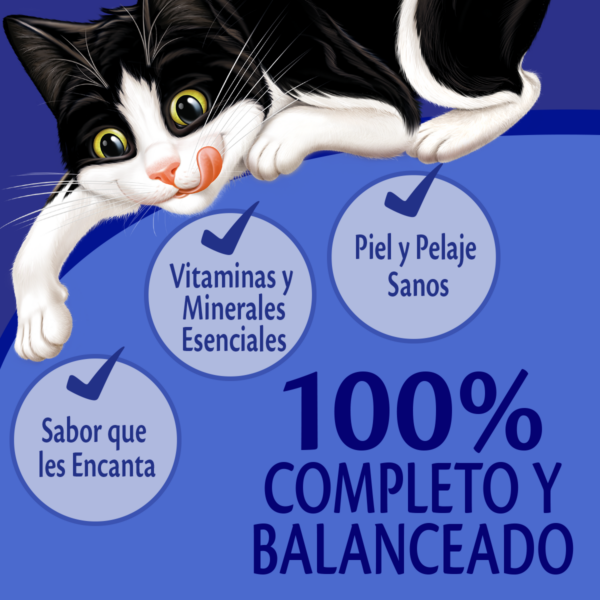 Sachet Felix Pavo Salsa x15 - Imagen 3