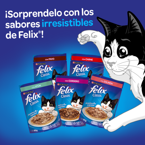 Sachet Felix Pavo Salsa x15 - Imagen 4