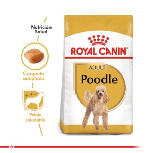 Royal Canin Poodle Caniche Adulto 3 KG