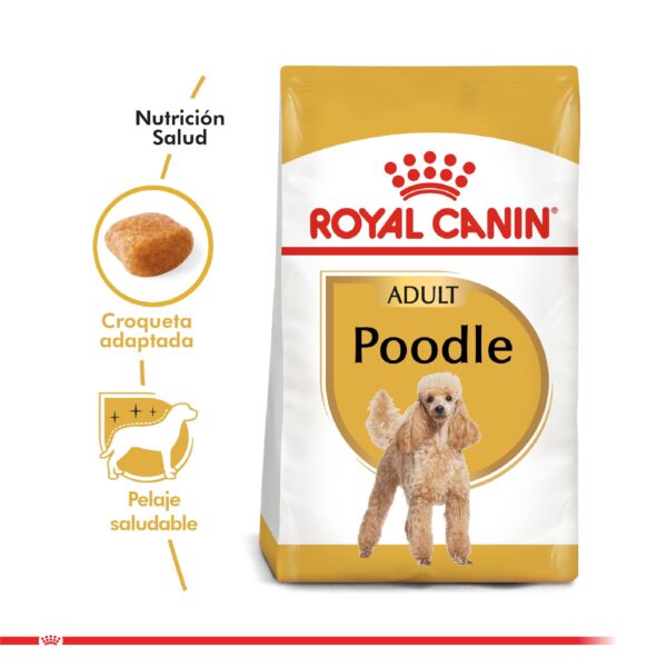 Royal Canin Poodle Caniche Adulto 3 KG