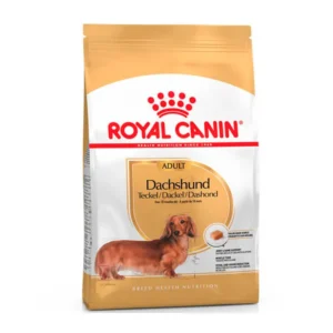 Royal Canin Dachshund Adulto 7.5 KG
