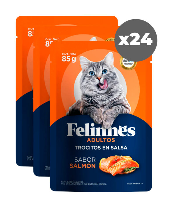 Sachet Felinnes Premium Salmón 85 GR 24 Unidades