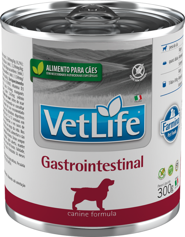 Vet Life WF Dog Gastrointestinal 300grs