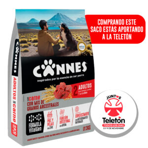 Alimento Perro Cannes Adulto Carne y Cereales 3 KG