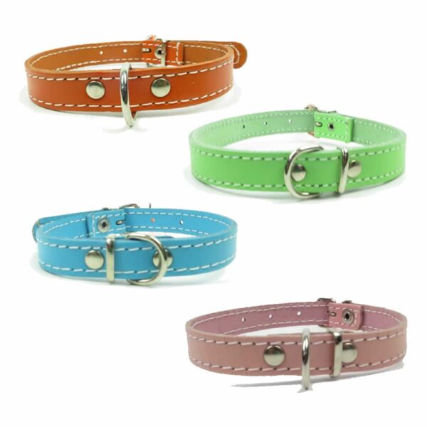 Collar Wonder Eco Cuero 1.5*38 cm Colores (KX4128) - Imagen 4