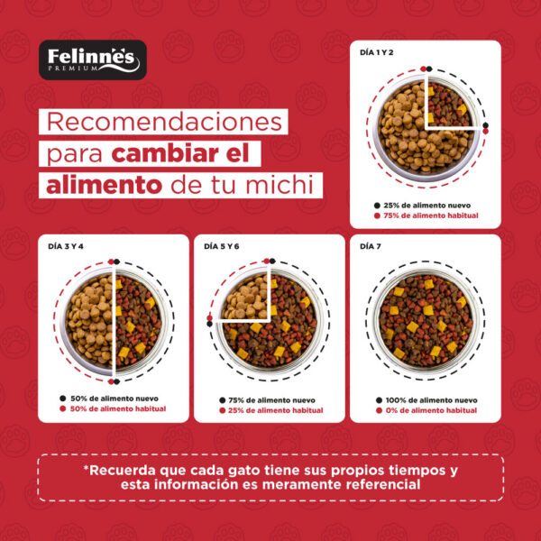 Alimento Felinnes Premium Gato Adulto Salmón 20 KG - Imagen 4