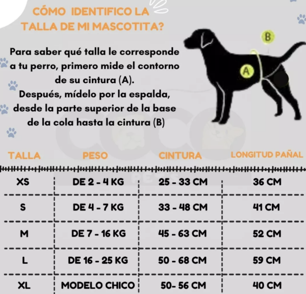 Pañal Para Perro Talla L Soft Care - Imagen 2