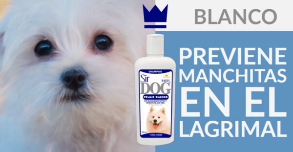 Shampoo para Perros Drag Pharma Sir Dog White - Perros Blancos 390 ml - Imagen 2
