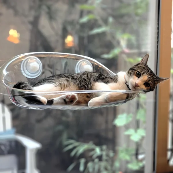 Cama Hamaca Gatos Repisa Transparente Gris de Pared (24137) - Imagen 2