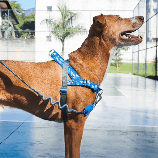 Arnés Mascotas ZeeDog H3D Fly Softer Walk Talla S Efecto Suavizado (608048) - Imagen 3