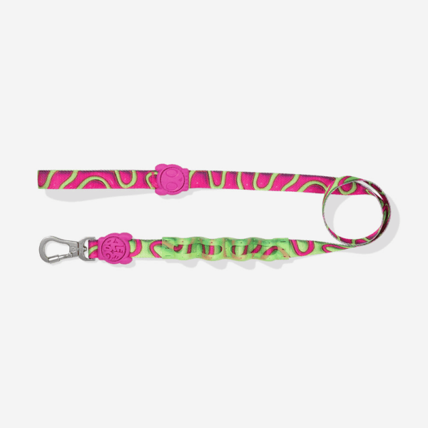 Correa Trailla ZeeDog H3D Jelly Ruff Leash Large Talla L (608031) - Imagen 2