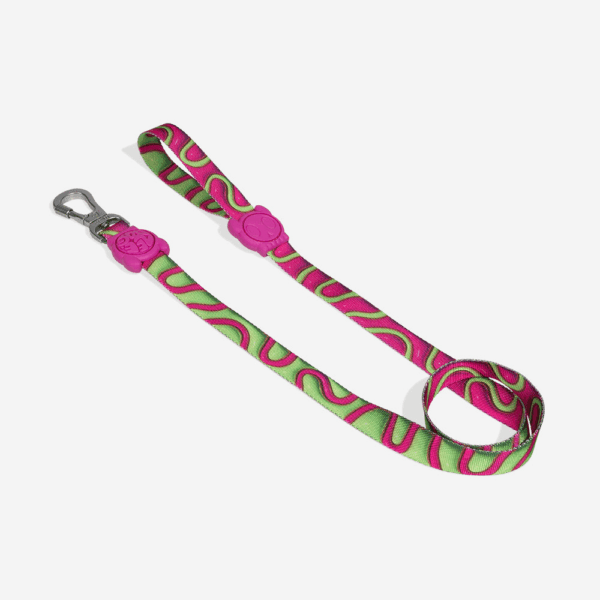 Correa Trailla Mascotas ZeeDog H3D Jelly Leash Talla XS (607584)