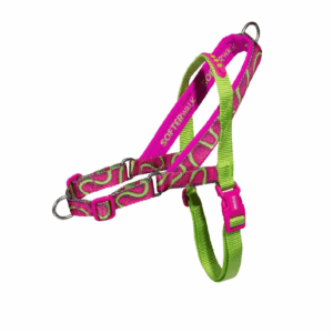 Arnés Zeed Dog H3D Jelly Softer Walk Medium Talla M (08086)