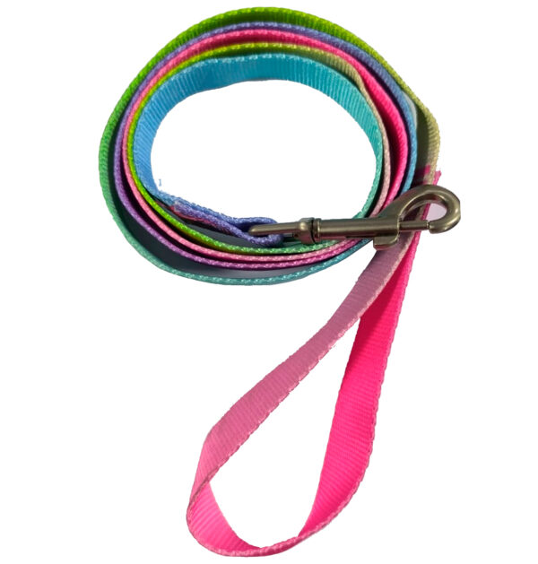Pechera Arnés con Correa Reforzada Arcoiris Talla S (2024-5) - Imagen 2