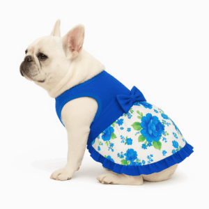 Vestido Disfraz Huasita Talla 4 Colores Surtidos