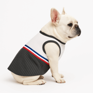 Traje Disfraz Mascotas Huaso Talla 4
